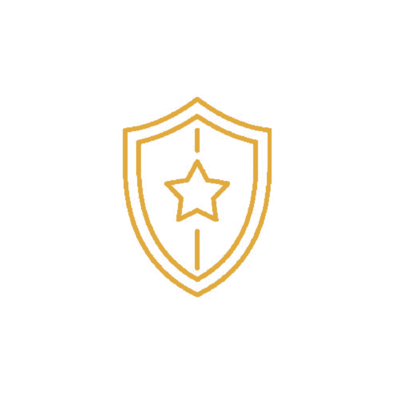 tild6364-3663-4364-b334-386164343635__shield-icon-gold